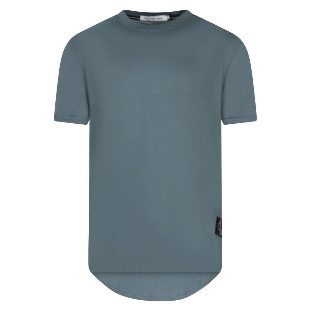 Vêtements Homme T-shirts manches courtes CK Collection 160996VTPE24 Bleu
