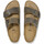 Chaussures Sandales et Nu-pieds Birkenstock Arizona leoi Vert