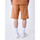 Vêtements Homme Shorts / Bermudas Project X Paris Short T244029 Marron