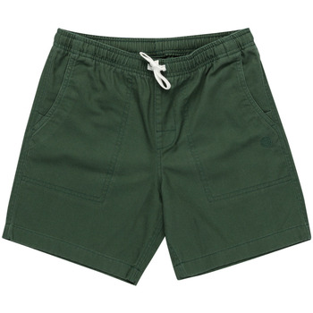 Vêtements Garçon Shorts / Bermudas Element Chillin Twill Vert