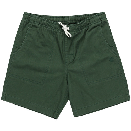 Vêtements Garçon Shorts PEPE / Bermudas Element Chillin Twill Vert