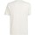 Vêtements Homme T-shirts & Polos Calvin Klein Jeans Diffused Logo T-Shir Beige