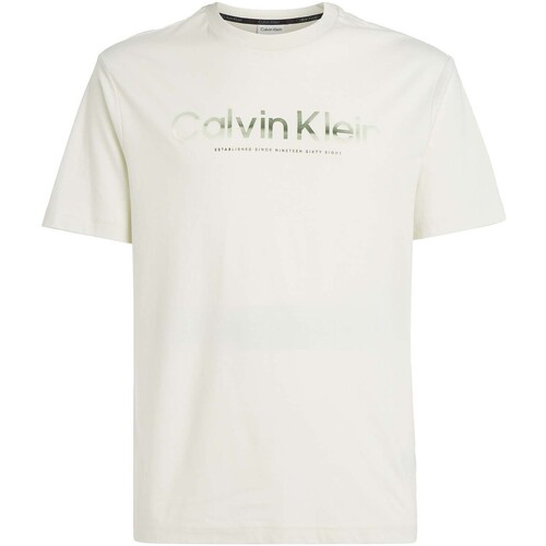 Vêtements Homme T-shirts manches courtes Calvin Klein Chrono Diffused Logo T-Shir Beige