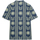 Vêtements Homme Chemises manches courtes Dickies KELSO SHIRT SS AIR FORCE DK0A4XN4AF01 Bleu