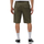 Vêtements Homme Shorts / Bermudas Dickies MILLERVILLE DK0A4XED Vert