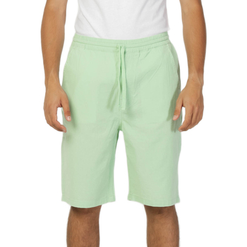 Vêtements Homme tessuto Shorts / Bermudas Lee RELAXED DRAWSTRING L70KSAUX Vert