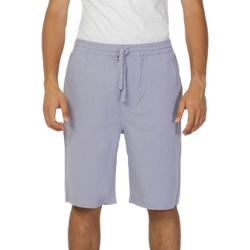 Vêtements Homme Shorts / Bermudas Lee RELAXED DRAWSTRING L70KSAUU Violet