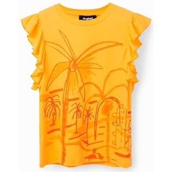 Vêtements Femme T-shirts manches courtes Desigual TS SHALMA 23SWTKCA Orange