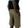 Vêtements Homme Shorts / Bermudas Dickies MAPLETON DK0A4Y83 Vert