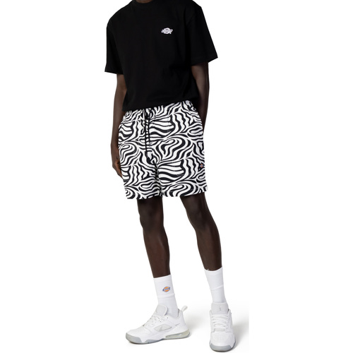 Vêtements Homme Shorts / Bermudas Dickies LEESBURG DK0A4Y7Y Autres