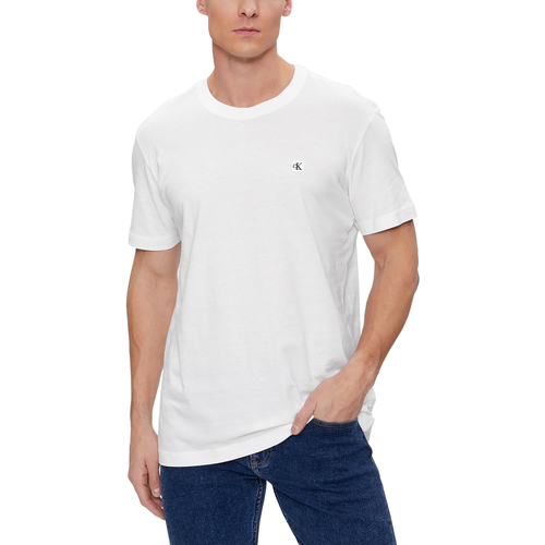 Vêtements Homme Polos manches longues Calvin Klein Jeans EMBRO BADGE J30J325268 Blanc