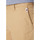 Vêtements Homme Shorts / Bermudas Tommy Hilfiger SCANTON DM0DM18812 Beige