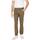 Vêtements Homme Pantalons Tommy Hilfiger AUSTIN CHINO DM0DM19166 Vert