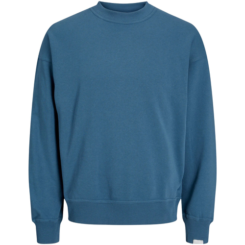 Vêtements Homme Sweats Jack & Jones JCOCOLLECTIVE SWEAT CREW NECK SN 12251330 Bleu
