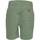 Vêtements Homme Shorts / Bermudas U.S Polo Assn. BALD 67351 52088 Vert