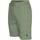 Vêtements Homme Shorts / Bermudas U.S Polo Assn. BALD 67351 52088 Vert