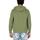 Vêtements Homme Sweats U.S Polo Assn. LUKE 67353 52088 Vert