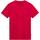 Vêtements Homme T-shirts manches courtes Napapijri Salis ss sum red barberry Rose