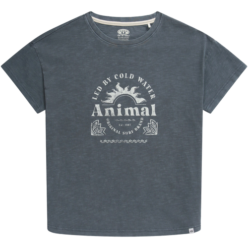 Vêtements Femme T-shirts manches longues Animal Phoenix Bleu