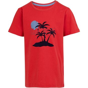 Vêtements Enfant T-shirts manches courtes Regatta RG10541 Rouge