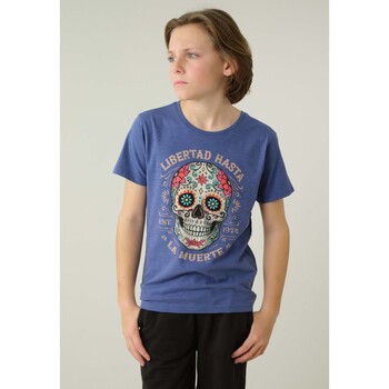 Vêtements Garçon T-shirts manches courtes Deeluxe T-Shirt CRANEO Bleu