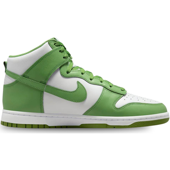 Chaussures Homme Baskets mode Nike royal Dunk High Retro Vert