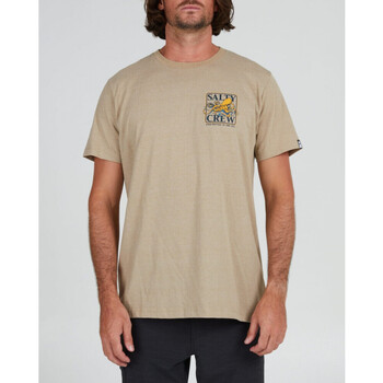 Vêtements Homme T-shirts & Polos Salty Crew Ink slinger standard s/s tee Beige