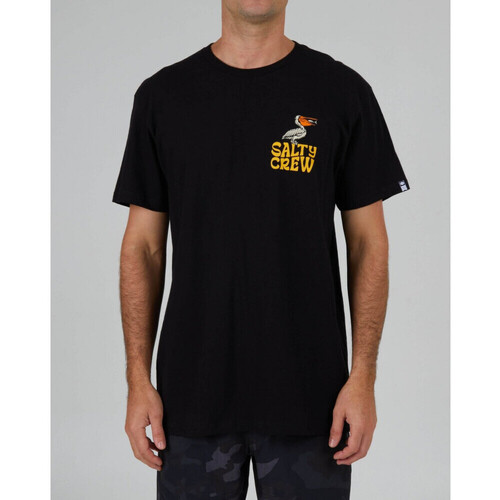 Vêtements Homme T-shirts & Polos Salty Crew Seaside standard s/s tee Noir