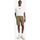 Vêtements Homme Shorts / Bermudas Levi's 172020004 Vert