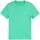 Vêtements Homme T-shirts manches courtes Ralph Lauren  Vert