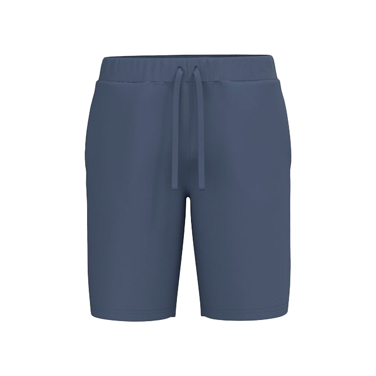 Vêtements Homme Shorts / Bermudas Guess Clovis Bleu