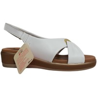 Chaussures Femme NEWLIFE - JE VENDS Susimoda 21170-bianco Blanc