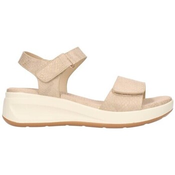 Chaussures Femme Sandales et Nu-pieds Doctor Cutillas 31611 Mujer Taupe 