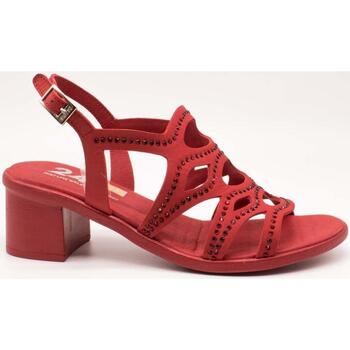 Chaussures Femme Sandales et Nu-pieds 24 Hrs  Rouge