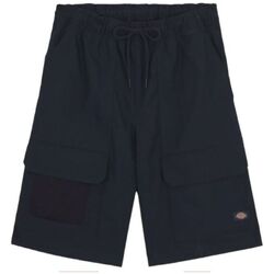 Vêtements Homme Shorts / Bermudas Dickies Shorts Fishersville Cargo Homme Dark Navy Bleu