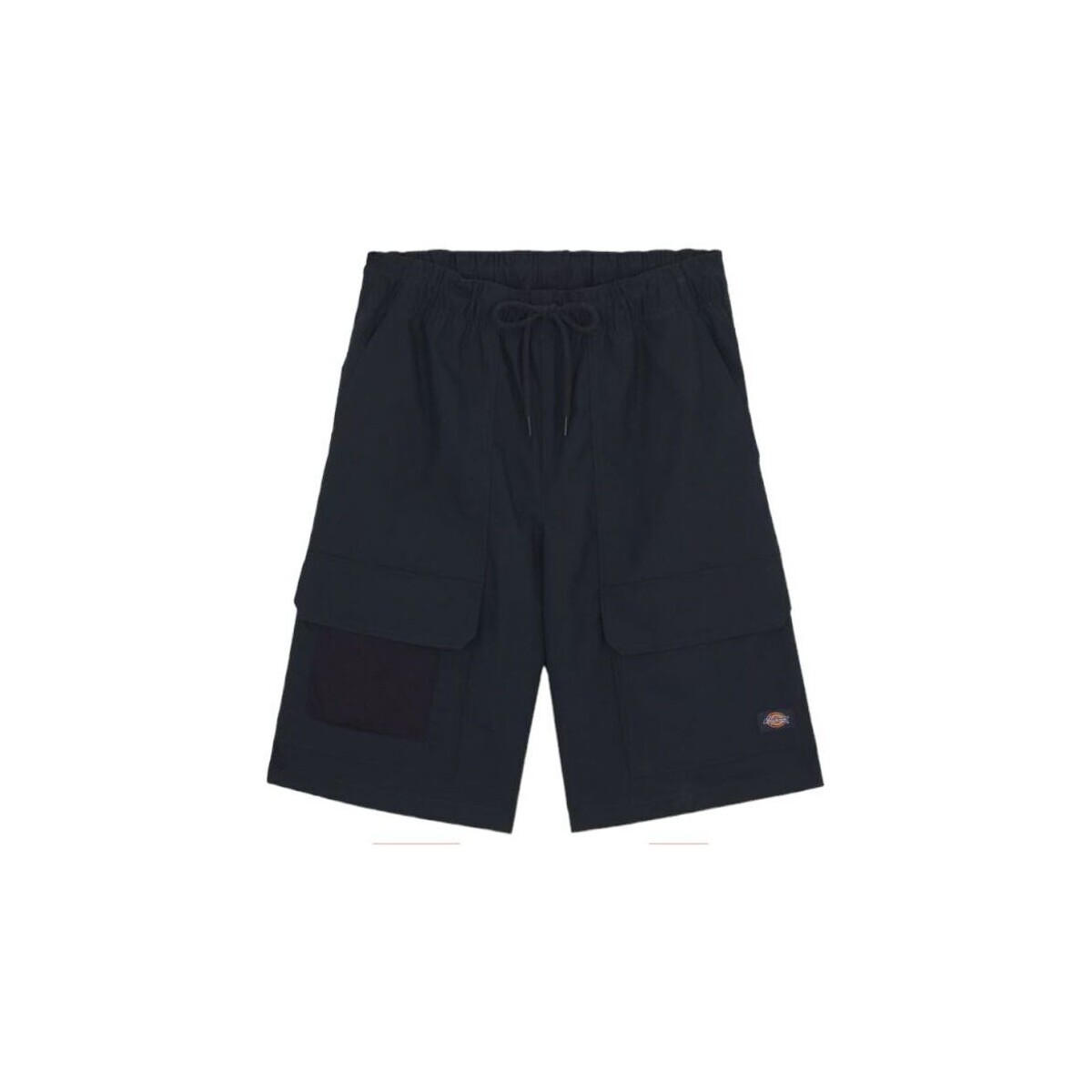 Vêtements Homme Shorts / Bermudas Dickies Shorts Fishersville Cargo Homme Dark Navy Bleu