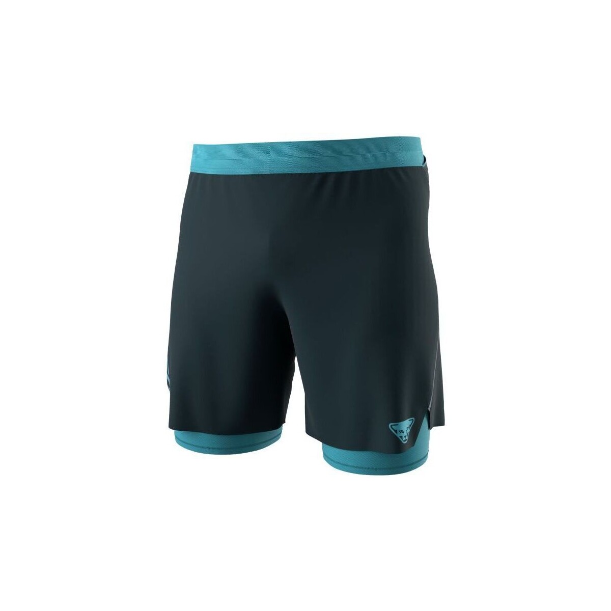 Vêtements Homme Shorts / Bermudas Dynafit Shorts Alpine Pro 2in1 Homme Blueberry/Storm Blue Bleu