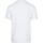 Vêtements Homme T-shirts & Polos Lacoste T-Shirt Logo Blanche Blanc