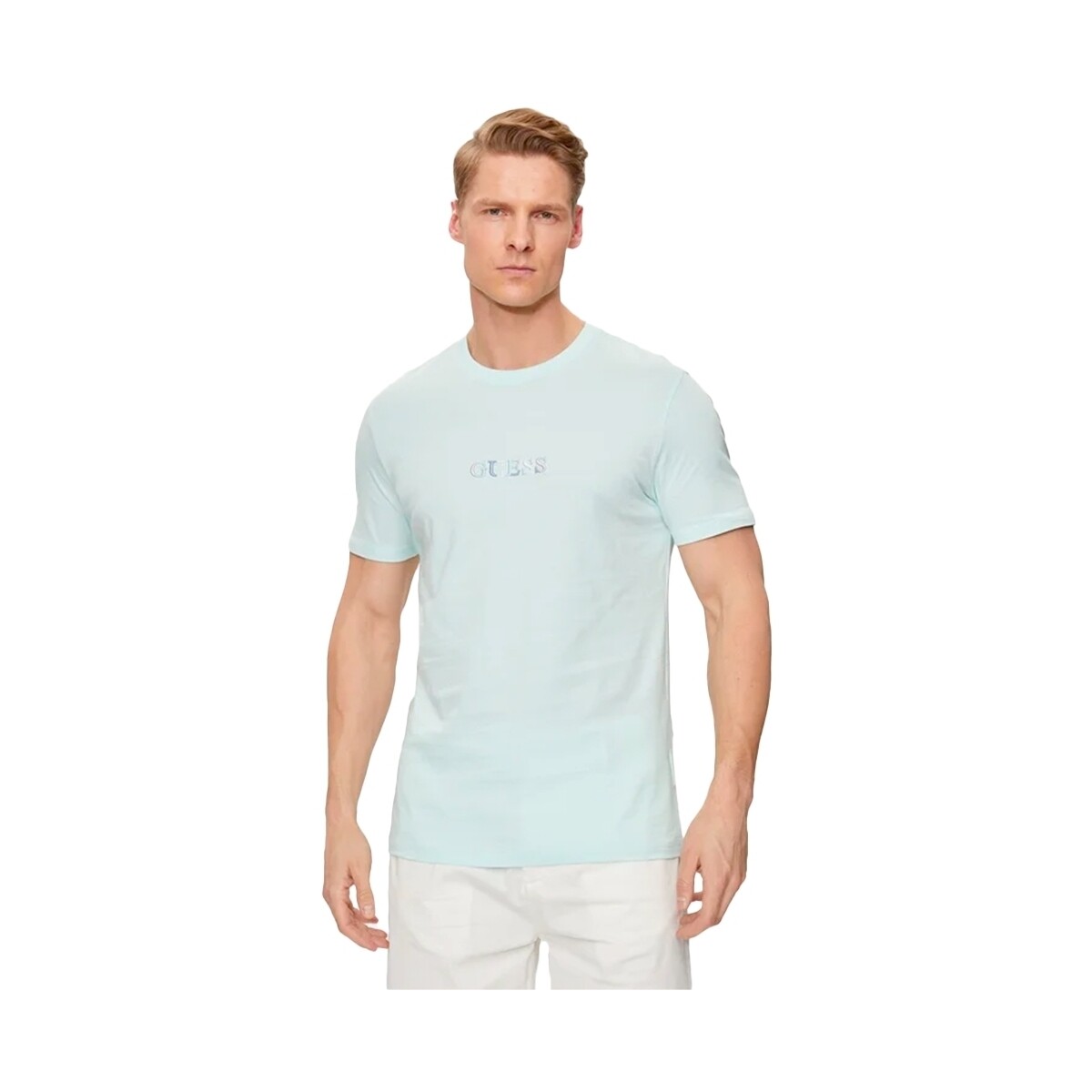 Vêtements Homme T-shirts manches courtes Guess Classic Bleu