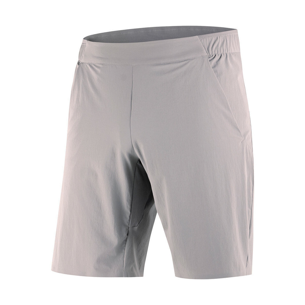 Vêtements Homme Shorts / Bermudas Salomon WAYFARER EASE SHORTS M Gris