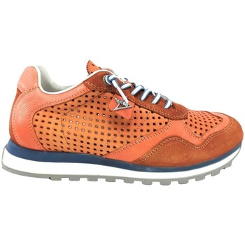 Chaussures Homme Baskets mode Cetti BASKETS  848 CUIR ORANGE Orange