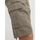 Vêtements Homme Shorts / Bermudas Jack & Jones 12248685 COLE BARKLEY-BONGEE CORD Beige