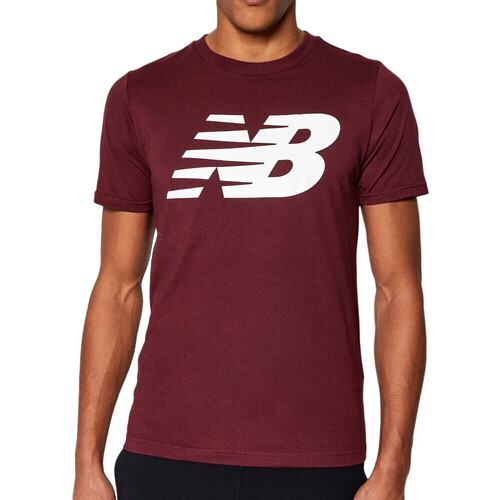 Vêtements Homme T-shirts & Polos New Balance MT03919BG Rouge