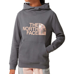 Vêtements Fille Sweats The North Face NF0A558T1741 Gris