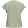 Vêtements Femme T-shirts & Polos JDY 15317398 Vert