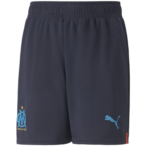 Vêtements Garçon Shorts / Bermudas Puma 766112-02 Bleu