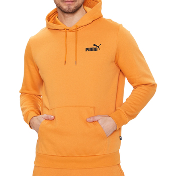 Vêtements Homme Sweats Puma 586693-27 Orange