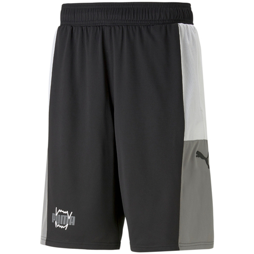 Vêtements Homme Shorts / Bermudas Puma 848944-10 Noir