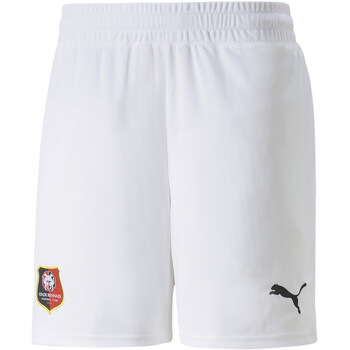 Vêtements Homme Shorts / Bermudas Puma 766150-02 Blanc
