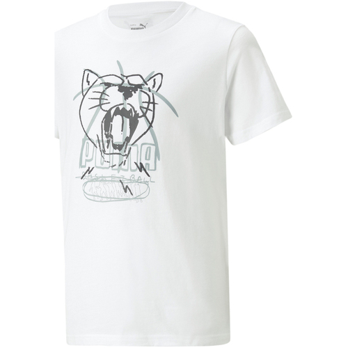 Vêtements Garçon T-shirts & Polos Puma 538467-02 Blanc